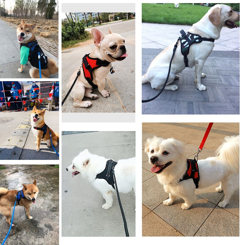 Coleiras, Guias e Peitorais - Peitoral / Colete Peitoral ajustável para cães - Cinto de arnês refletivo de sela Oxford código: 0032